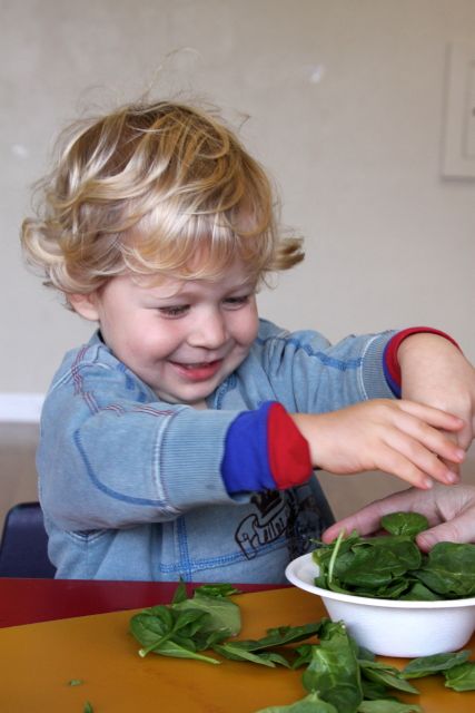 ToddlerSpinach
