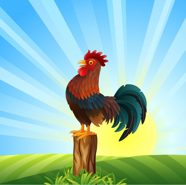 cartoon-rooster-crowing-at-dawn_42886-455.jpg