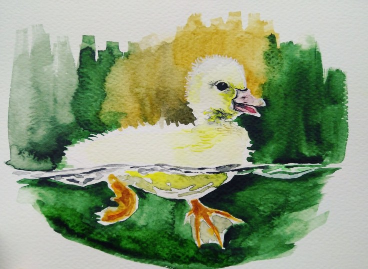 91691649_823893458092526_2421693730479144960_o